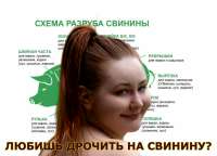 58ad4d07adda48546a230c4379287564АМ.jpg