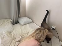 0gs5c82v6is93afboumlvsource.mp4