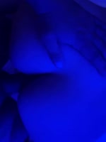 VID20250611184549476.mp4