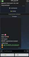 IMG6816.jpeg