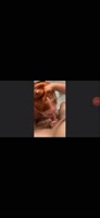 697696996456239314.mp4