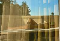 34z (1).webp