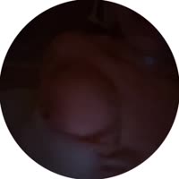 VID20250724011913685.mp4