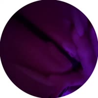 VID20250724011815332.mp4
