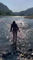 -1210455246978417311.mp4