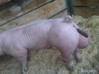 IMG4451.jpeg