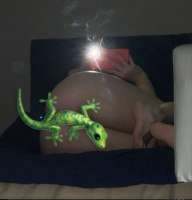 IMG7333.jpeg