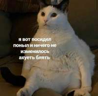 17399035115153.jpg