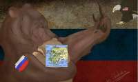14881600.jpg