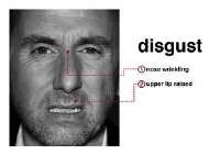 Expression-of-disgust-source-14-6-Surprise-Expressions-of-surprise-are-obtained.jpg