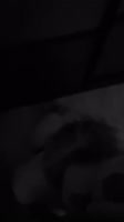 -930373437401509820.mov