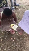 downloadfile.mp4