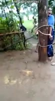 ViKfQf3y6Z3P.mp4