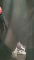 5690779962015.mp4