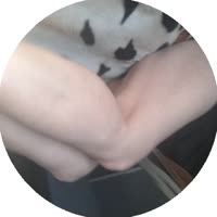 1751367513429.mp4