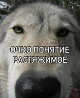 IMG20250601153601245.jpg