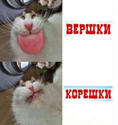 IMG3175.jpeg