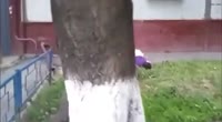 ass up pants down shitty ground.mp4