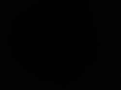 17563617707915248804533577610648.jpg