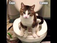Cujo - Запор.mp4