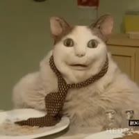 17481317359330.webm