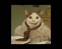 ору.mp4