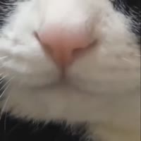 17484329307320.webm