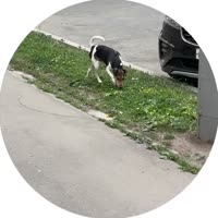 bbe4a0e3afad6b16f4e707b0fb00163c.mp4