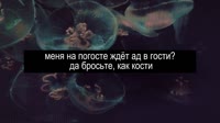 1750352070628.mp4