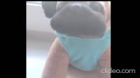 clideoeditorea3ff73f0b5b43e2bfb4ce458dc8fc6d.mp4