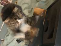 IMG20250618201231.jpg