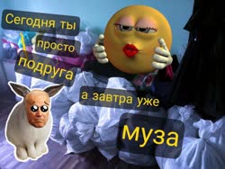 17501912211760.mp4