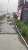 1000159459.mp4