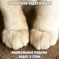 1000029974.jpg