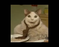 ору.mp4