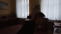 17511416730314.mp4