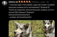 9B4DB8BD-F178-4B39-9BD4-705719275CF5.jpeg