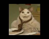 ору.mp4