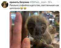 E413DDA9-F279-4D05-A99B-EC95F76C1D76.jpeg