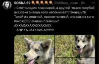 50B7AE11-3D0F-41B6-A262-E43EF19612D6.jpeg