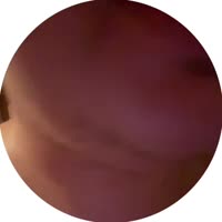 4.mp4