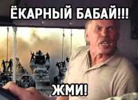 456x331