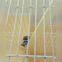 360x360