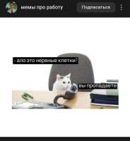 223539.jpg