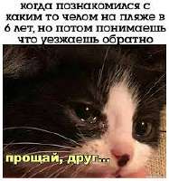 images.jpg