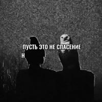 VID20250705153146496.mp4
