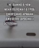 VID20250705095626302.mp4