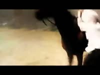 456546565.webm