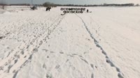 Рейтар.mp4