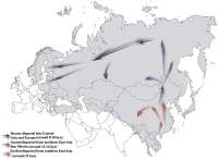 PrehistoricmigrationroutesforY-chromosomehaplogroupNlineage.png